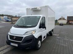 Fiat - Ducato Kontener kamion hladnjača < 3.5t / GRI-0220