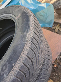 Minerva - M+S - Winter guma