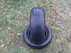 Sava - M+S - Kış guma