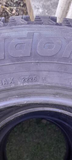 Taurus - Gume - Dimër guma