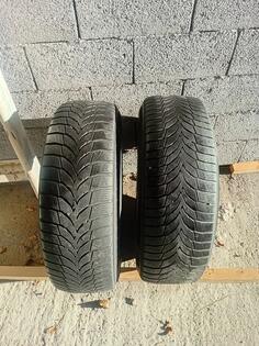 Nexen - gume - Zimska guma