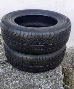 Sava - / - Zimska guma