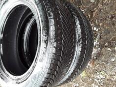 Minerva - M+S - Zimska guma