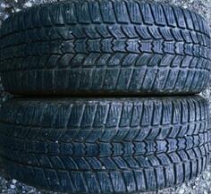 Sava - / - Winter tire