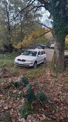 Škoda - Octavia - 19 td