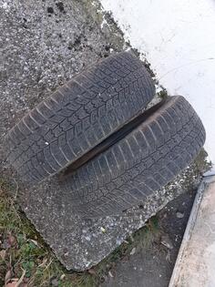 Sava - / - Zimska guma