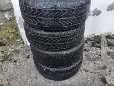 Dunlop - / - Winter tire