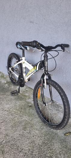 Ostalo - ALPINA  ASPEN