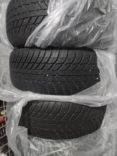 Nexen - winter - Kış guma