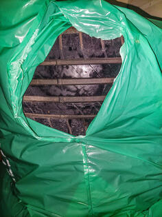 Continental - 205/55R16 - Yaz guma