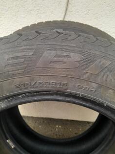 Debica - winter - Kış guma