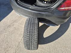 Sava - sava eskimo - Kış guma