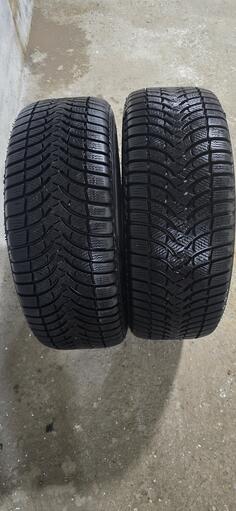 Targum - Vinter - Kış guma