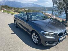 BMW - 220 - 2.0d