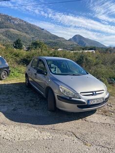 Peugeot - 307 - 1.6