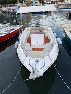 Salpa - Salpa585