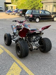 Yamaha - Raptor