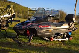 Arctic Cat