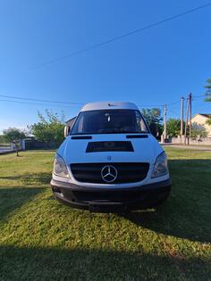 Mercedes Benz - Daimler Chrysler Sprinter 313 cdi