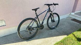 Shimano - Phoenix