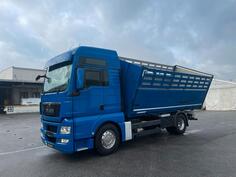 MAN - TGX 18.480