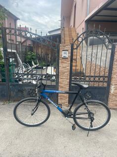 Shimano - Shimano