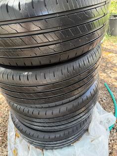 GoodYear - Performance 2 - Ljetnja guma