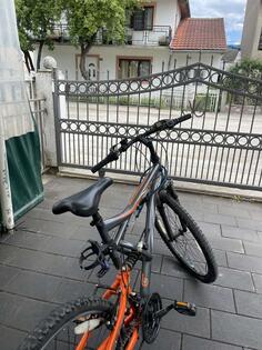 Shimano - Gecko