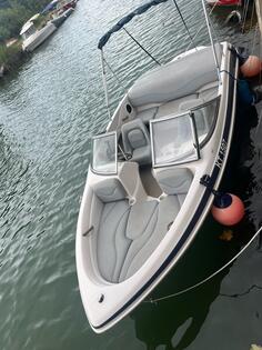 Stingray - 590 Q 4 sport