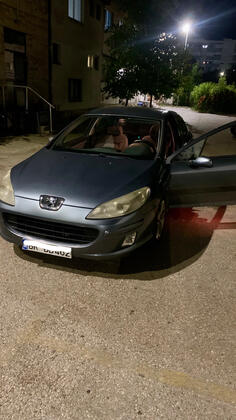 Peugeot - 407 - 1.6 hdi