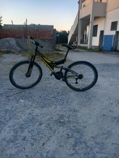 Capriolo - ctx 260