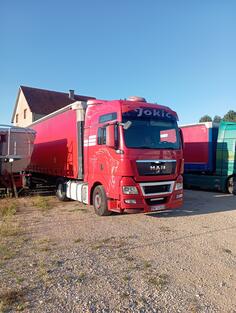 MAN - tgx