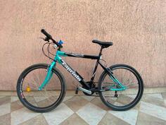 Capriolo - Passat