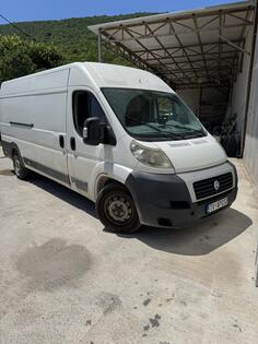 Fiat - dukato maxi