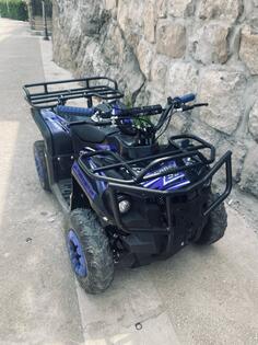 Minimoto - Mini Atv