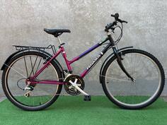Shimano - Pegasus