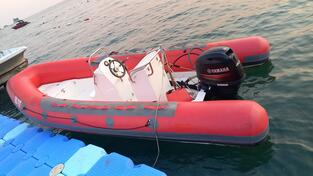 Ostalo - rib 520