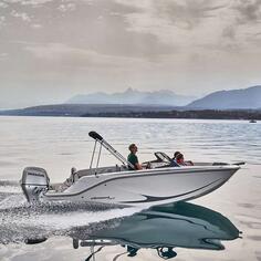 Bayliner - M19