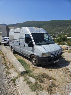 Citroen - Jumper