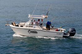 Sea pro - Sea Boss 235