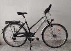 Ostalo - BlackSwox 28" germany