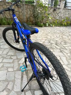 Bianchi - 2019
