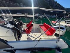 Beneteau - flyer 6.6 open