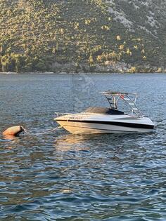 Wellcraft - Yamaha 225
