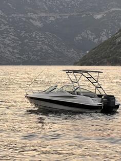 Wellcraft - Yamaha 225