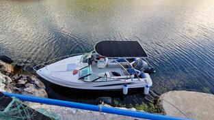 Wellcraft - Yamaha 225
