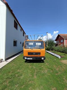 TAM - 100
