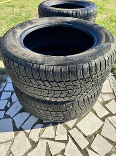 General Tire - Winter 3 - Kış guma