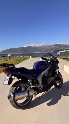 Triumph - Sprint ST 955i