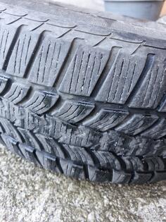 Sava - 225 60 17 - Kış guma